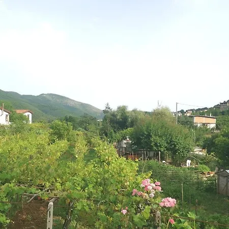 Appartamento Il Vigneto Licusati